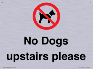 No Dogs upstairs please 
